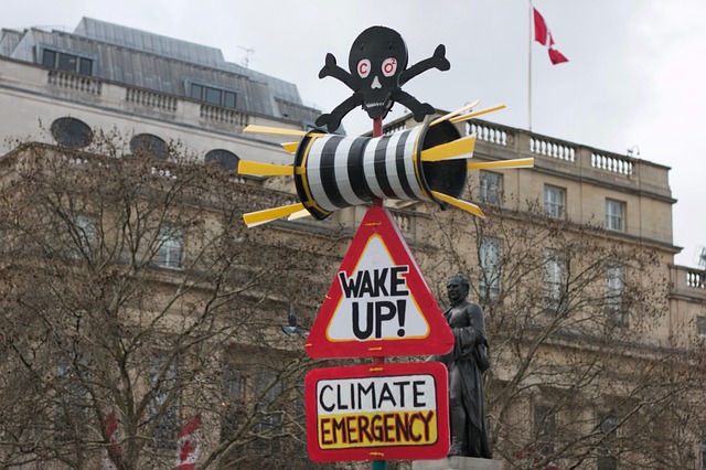  Climate Strikes and Politics